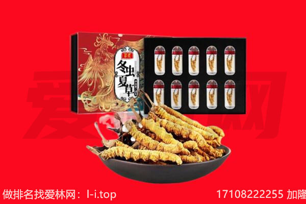 大同市回收虫草.jpg